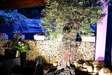 Giardino