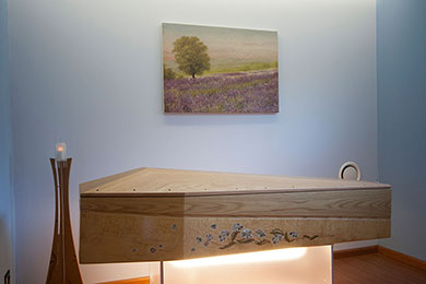 Veduta sala azzurra